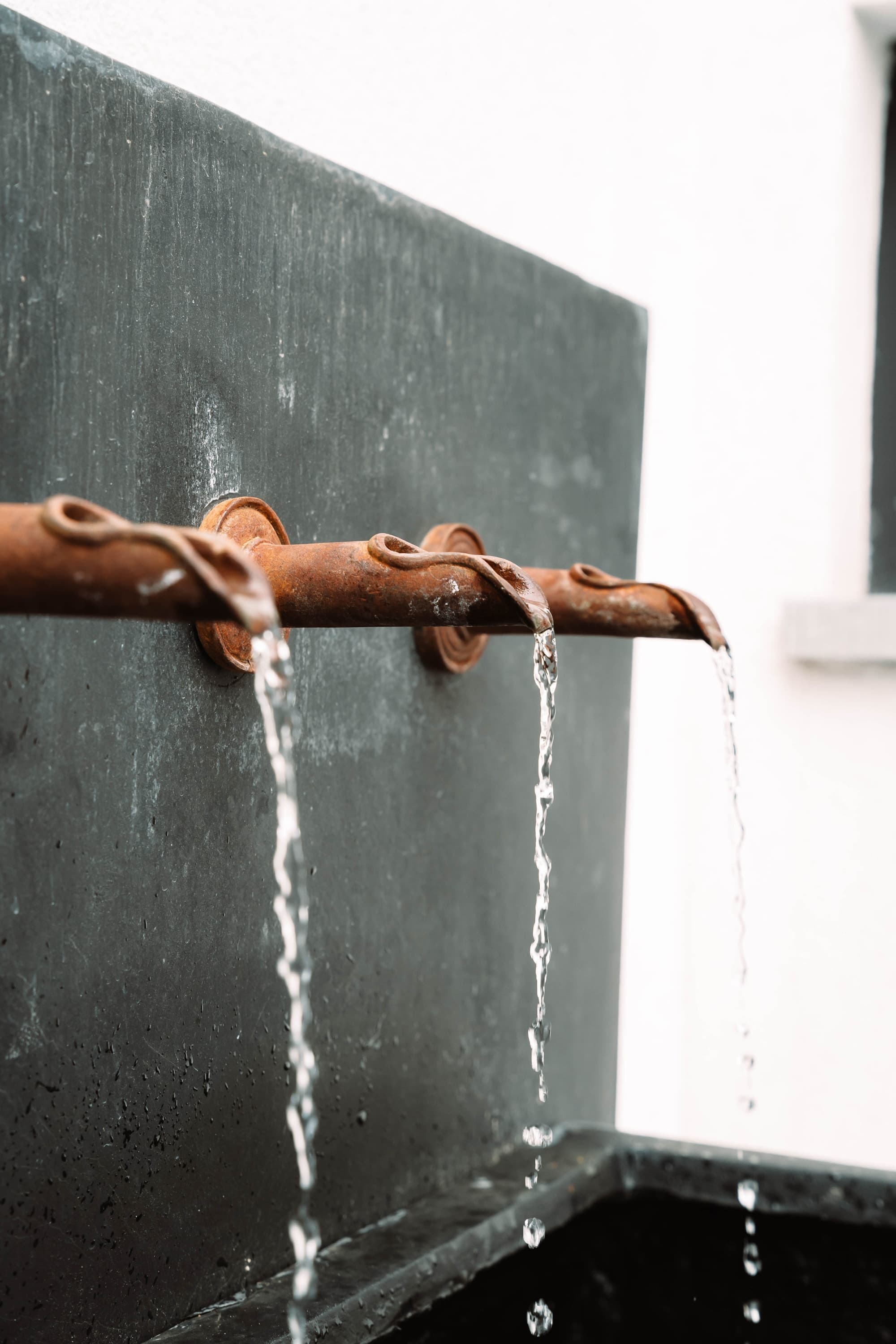 Côté jardin - Galerie Villa Dolce Silly